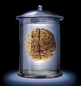 Brain in jar