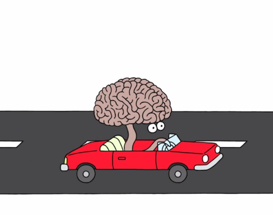 This brain should really be wearing a seatbelt - http://www.geekosystem.com/