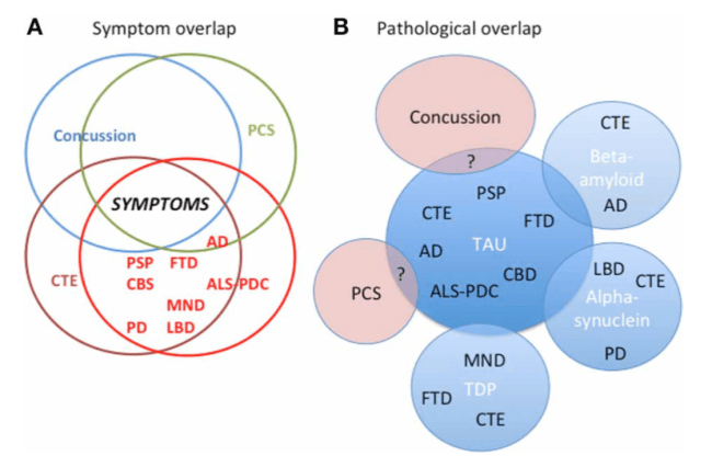 Figure from Tartaglia et al. (2014) showing the overlap of symptoms in different concussion-related and non-concussion-related disorders. The connections between these different disorders is still unclear and the subject of intense ongoing research.