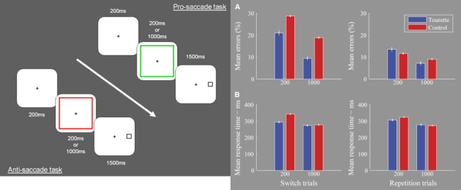 Here is the task used by Mueller et al, 2006. During a prosaccade trial, which was precued by a green border around the edges of the screen, an eye movement was required toward the target box appearing on either the left or right side. During an antisaccade trial, which was precued by a red border, an eye movement had to be made into the opposite direction to the target. On the right, you can see the results of the task, showing that on the switch trials, Tourette's sufferers made less mistakes.
