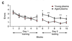 Here you can see that animals injected with young plasma make less errors on a water maze test, once they’ve already been trained. From Villeda et al., 2014. 