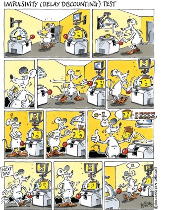 Illustration of a test for impulsivity after drug taking (4).