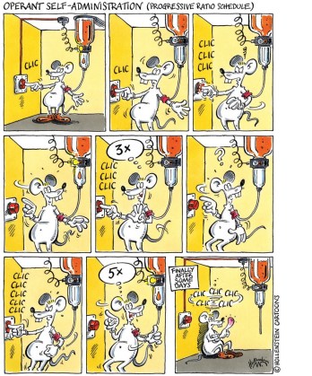 Illustration of operant self-administration in which the animal associates cues with taking a drug.