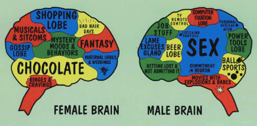 Your Brain on Sex | NeuWrite San Diego