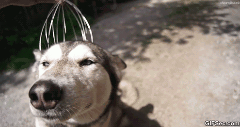 Pure-Happiness-GIFS-2