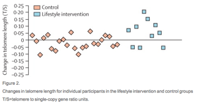 Screen Shot 2015-06-12 at 1.33.28 PM