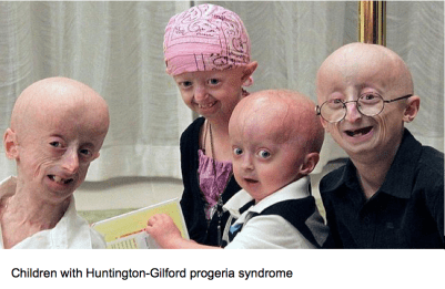 Screen Shot 2015-06-12 at 2.56.15 PM