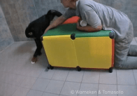 Screen Shot 2015-09-21 at 10.16.00 PM