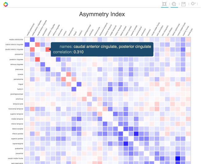 Partial correlation matrix of how asymmetry in one cortical area predicts that of in other areas. The standard is to show these values in a matrix. It is hard to order labels in a spatially meaningful way, and since the matrix is symmetric, each value is shown twice. Using an interactive matrix display, each entry can be labeled and a raw value shown. This solves some of the problems of large matrices, but does not help with spatial layout information.