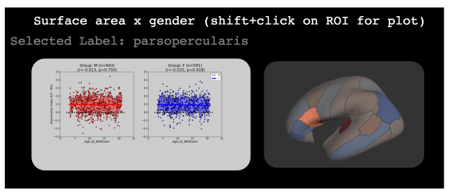 regressions For each brain area, asymmetry does not change from ages 3-20, even if split by gender (male, female) or handedness (right, left, mixed). Hold shift and click on one brain region, and a plot should appear to the right indicating how "asymmetry index" (% difference between the left and right, shown on the y-axis) of that area varies with age (shown on the x-axis).