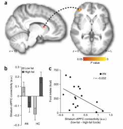 Screen Shot 2015-12-03 at 5.01.02 PM