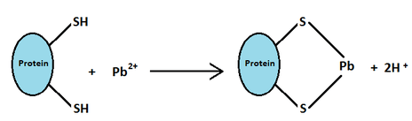 464px-sh_group_and_lead