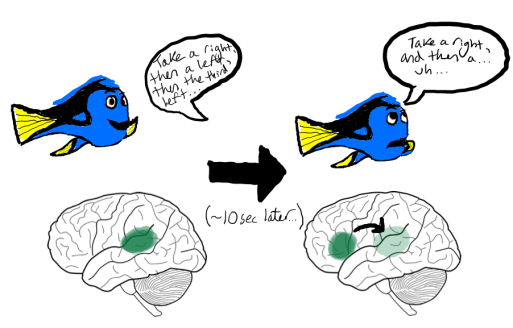 dory schematic