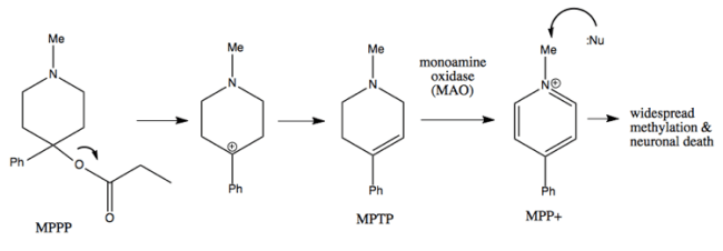 how-mppp-causes-neuronal-death