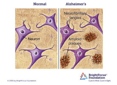 Screen Shot 2016-08-10 at 10.09.00 PM