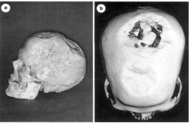 Screen Shot 2017-08-22 at 11.08.25 PM