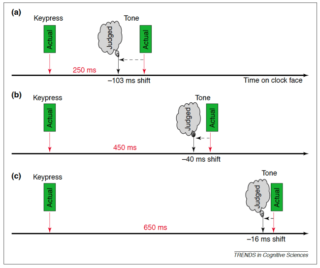Screen Shot 2018-01-31 at 10.24.31 AM