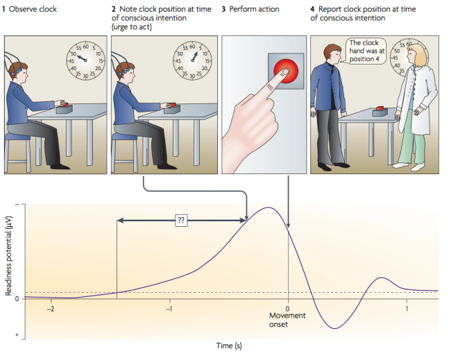 Screen Shot 2018-01-31 at 7.08.40 PM