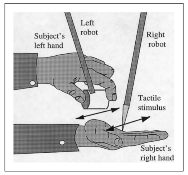 Screen Shot 2018-02-08 at 11.25.46 AM