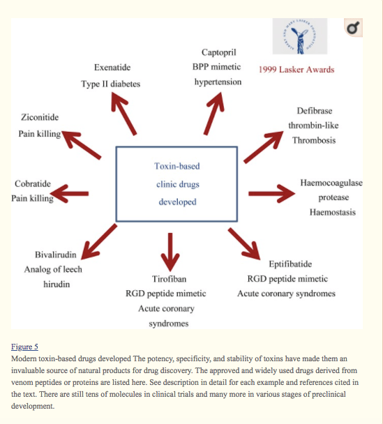 Screen Shot 2018-03-29 at 9.42.01 AM.png