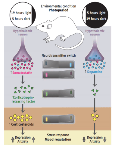 Screen Shot 2018-08-13 at 2.47.50 PM