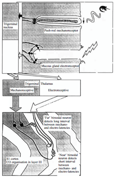 Screen Shot 2018-11-27 at 11.05.10 PM
