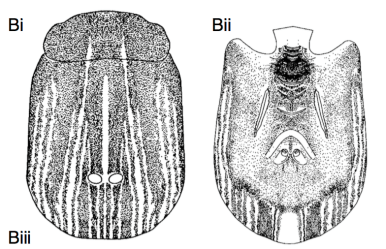 Screen Shot 2018-11-27 at 11.08.00 PM