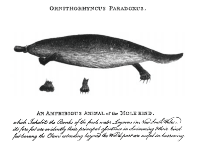 Screen Shot 2018-11-27 at 9.09.44 PM