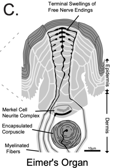 screenshot2019-01-16at11.06.50pm