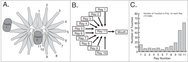 screenshot2019-01-17at12.35.02am