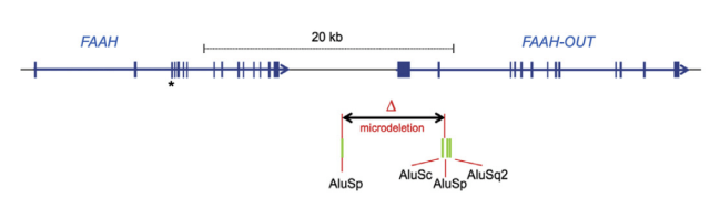 Screen Shot 2019-04-24 at 5.15.36 PM