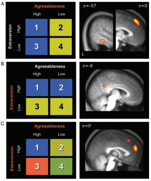 Screen Shot 2019-05-16 at 12.46.41 AM.png