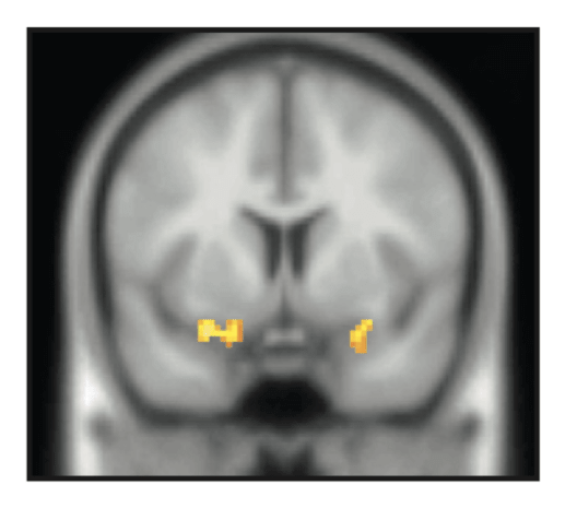 Screen Shot 2019-10-24 at 9.57.35 AM