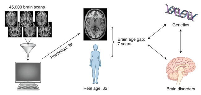 Screen Shot 2020-02-06 at 9.33.12 AM