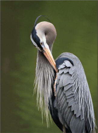 Screen Shot 2020-05-07 at 8.24.18 PM