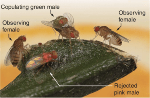 Screen Shot 2020-05-07 at 8.24.25 PM