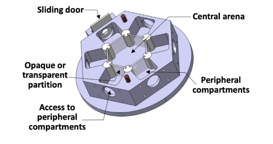 Screen Shot 2020-05-07 at 8.24.32 PM