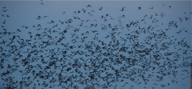 Screen Shot 2020-05-07 at 8.24.47 PM