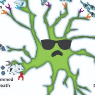 Ultra-cool cartoon microglia