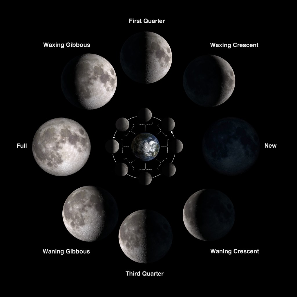 Phases of the Moon. [1]