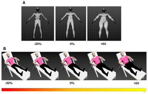 Shape of you – neuroscience of body image perception | NeuWrite San Diego